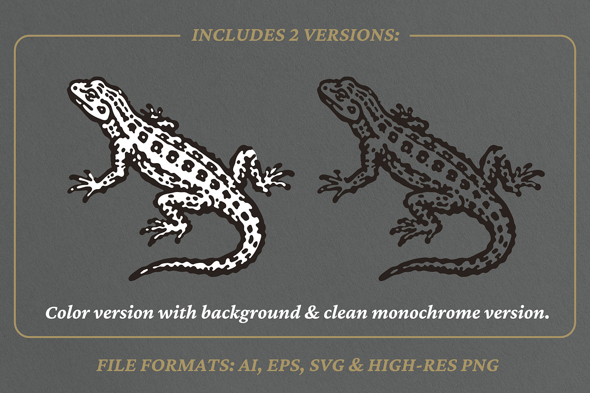 Vintage Desert Lizard Illustration, an Animal Illustration by lettett (Photo 2 of 3)