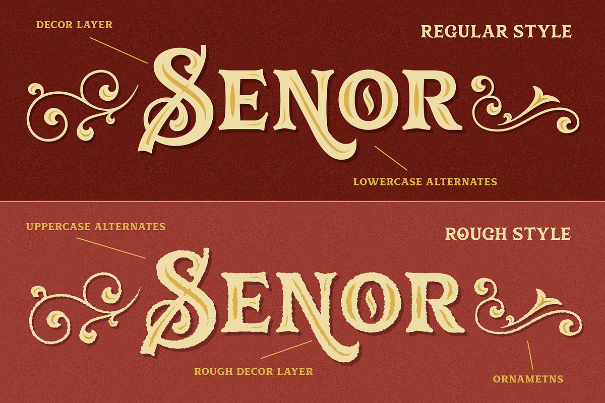 Vianor, a Font by Larin Type Co. (Photo 3 of 9)