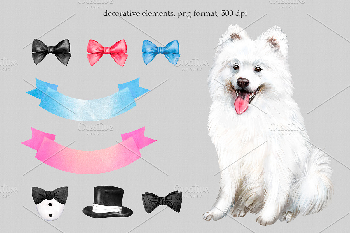 Samoyed dog watercolor clipart., an Animal Illustration by SavinV (Photo 4 of 6)
