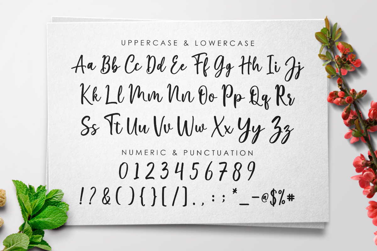 Marliesta Script Font preview 7
