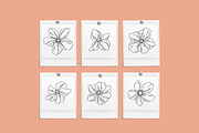 Floral Vector Illustrations, a Decorative Illustration by Emma Webb Studio (Thumbnail 2 of 5)