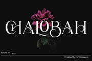 Chalobah, a Serif Font by Natural Ink Studio (Thumbnail 9 of 10)