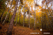 Landview Lightroom Presets, an Action Add-On by Art Zooted (Thumbnail 4 of 10)