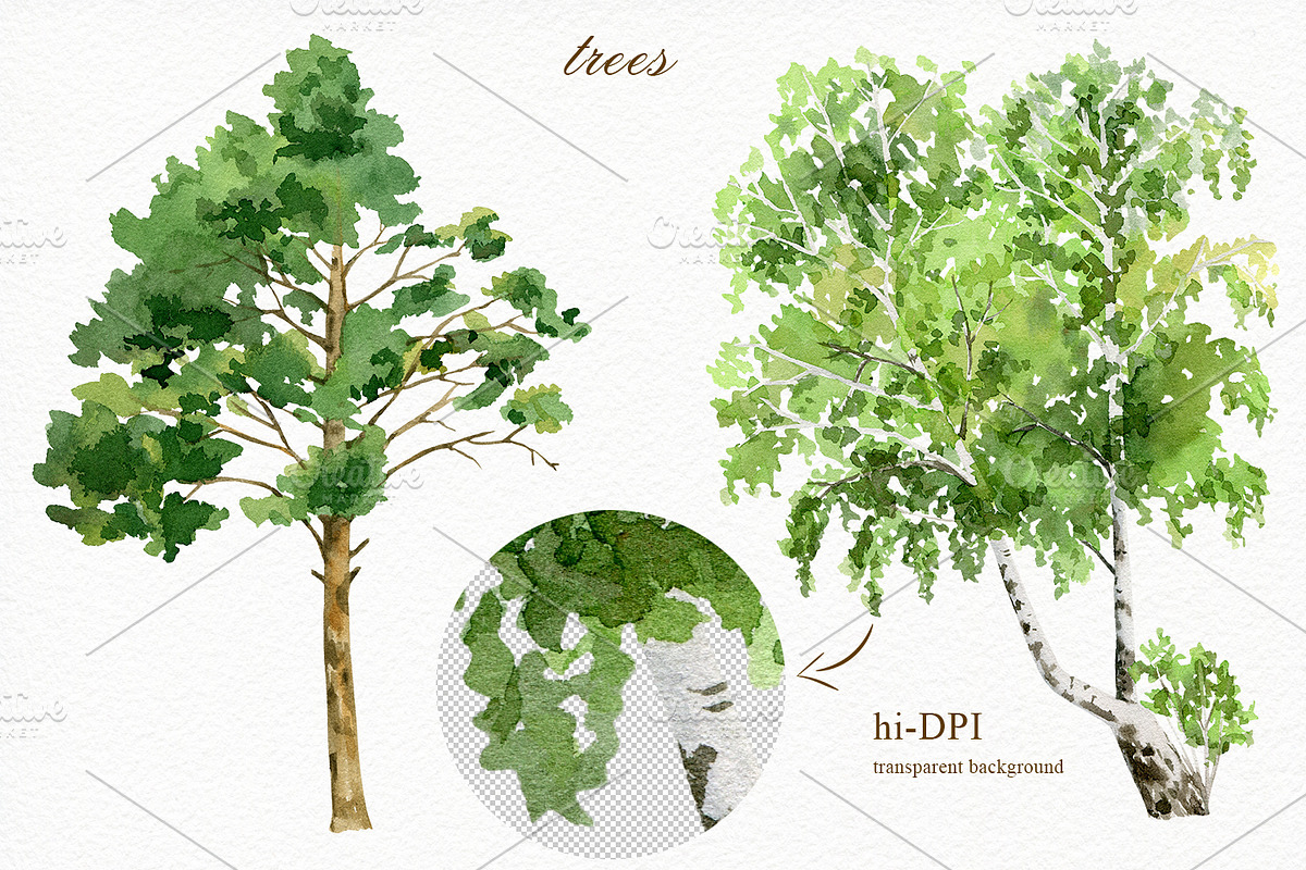 Forest watercolor designer toolkit, an Animal Illustration by Elegantia (Photo 15 of 28)