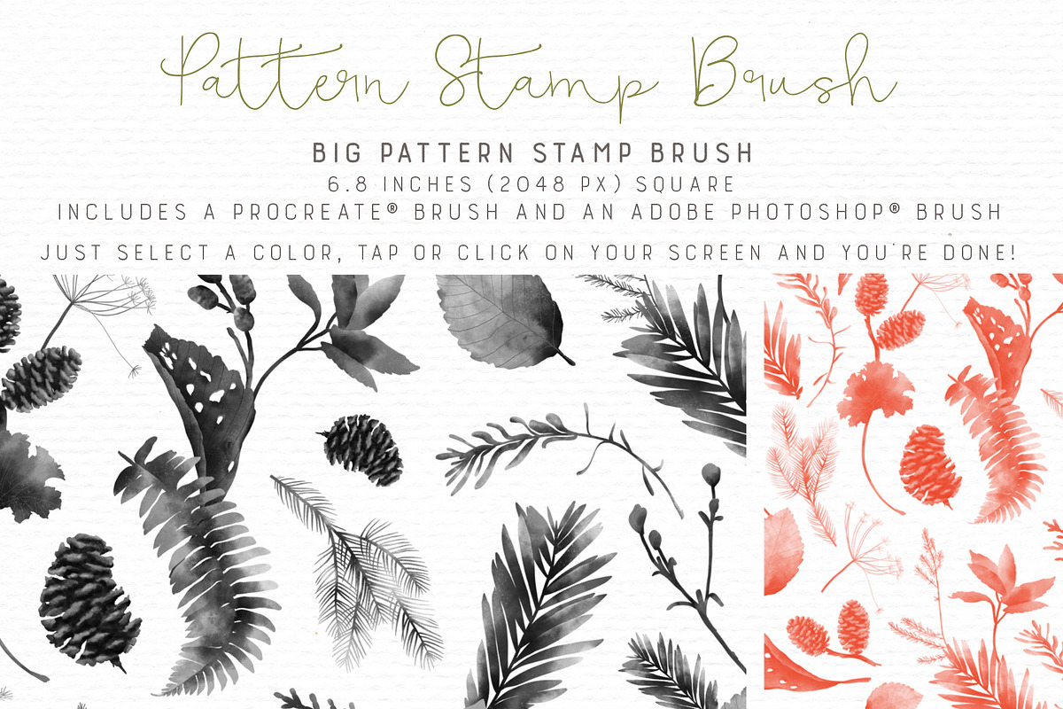 Botanical Forest - Brushes and Icons, an Illustration by Sandra Mejia (Photo 10 of 13)