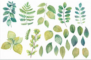 50% OFF Watercolor leaves & branches, an Object Graphic by Irina Diasli (Thumbnail 2 of 2)