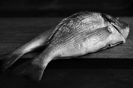 Fresh fish on the table., a Food & Drink Photo by Apolonia