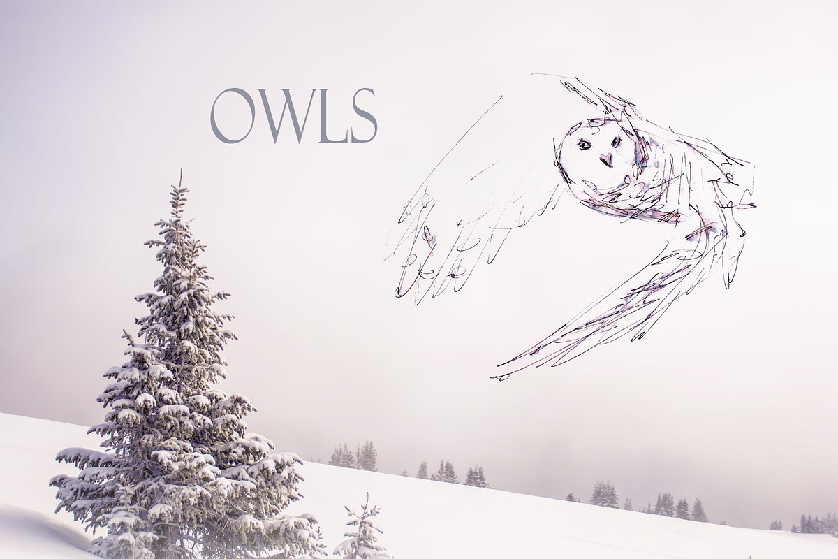Gentle Winter. Christmas Line Art, an Animal Illustration by NataliArkushArt (Photo 13 of 17)