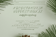 Hesperantha Font, a Handwritten Font by Letterhanna Studio (Thumbnail 8 of 9)