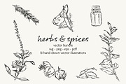 Herbs & Spices Vector Bundle, a Food Illustration by Little Gremlin (Thumbnail 1 of 10)