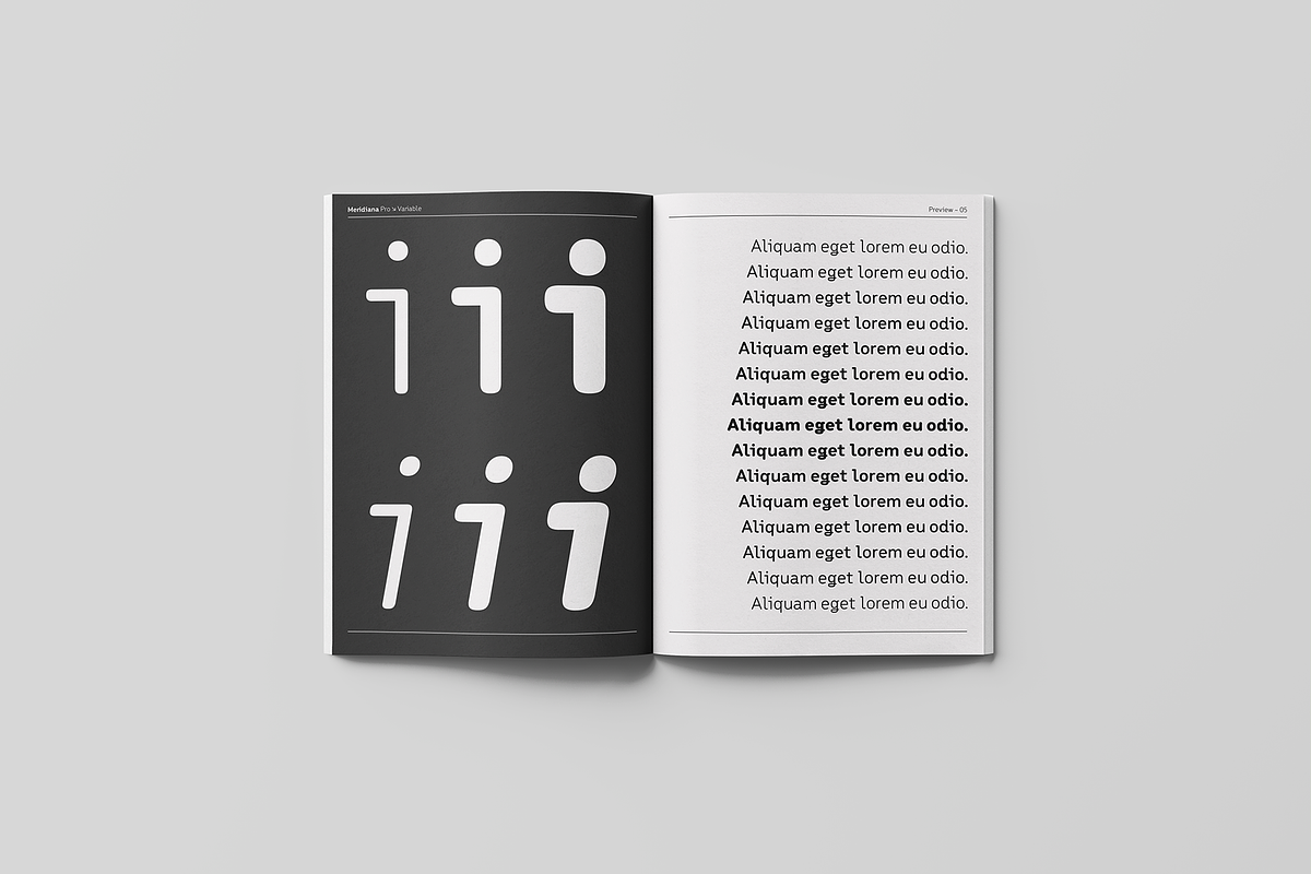 Meridiana Pro, a Sans Serif Font by Unio Designs (Photo 2 of 12)