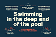 Generic Typeface Collection, a Sans Serif Font by More Etc. Studios (Thumbnail 10 of 20)