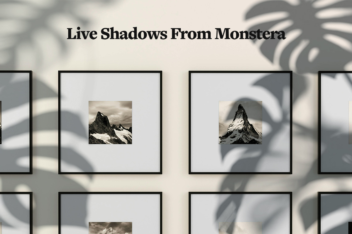 Plant Shadow Backdrops Video Bundle, a Mockup by rebrandy (Photo 12 of 24)