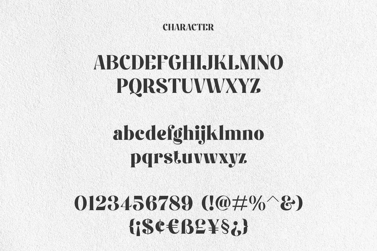 Fiontina A Display Typeface Font, a Serif Font by Dylla_studio (Photo 8 of 9)