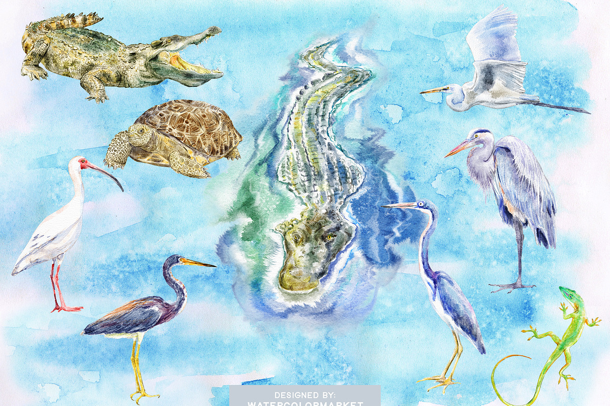 Swamp Animals Clipart, an Animal Illustration by Dora Katona (Photo 2 of 4)