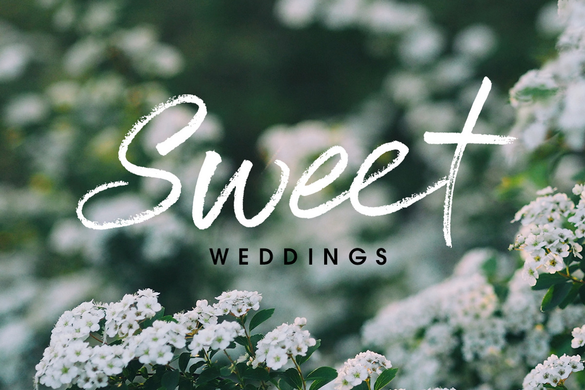 Serial Catch Font, a Script Font by Creativeqube Design (Photo 13 of 22)
