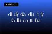Remindia - Modern Serif Font, a Serif Font by Rishsketch (Thumbnail 9 of 14)