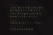 Making Modern Elegant Serif Font, a Serif Font by Graphicxell (Thumbnail 7 of 8)