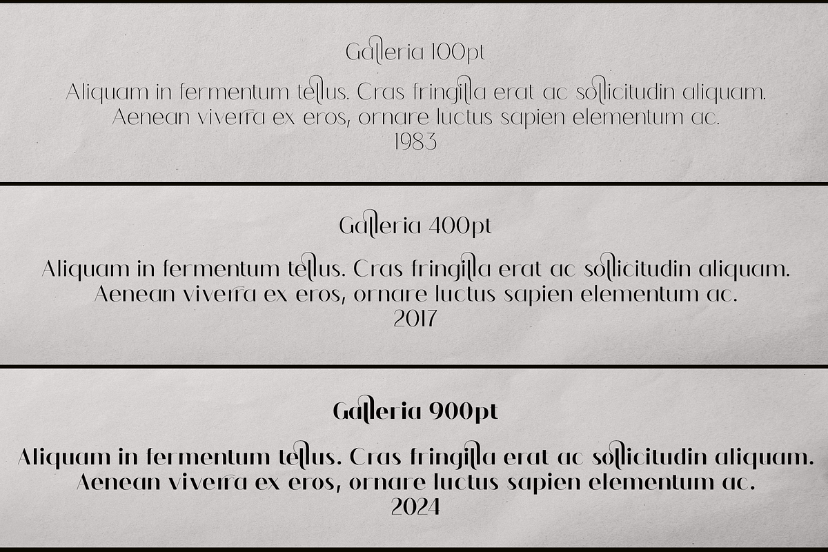 Galleria-An Unique Variable sans, a Sans Serif Font by zamjumps (Photo 6 of 10)