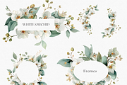White Orchid Watercolor Clipart, a Decorative Illustration by ThaismotaCreativeCo (Thumbnail 7 of 12)