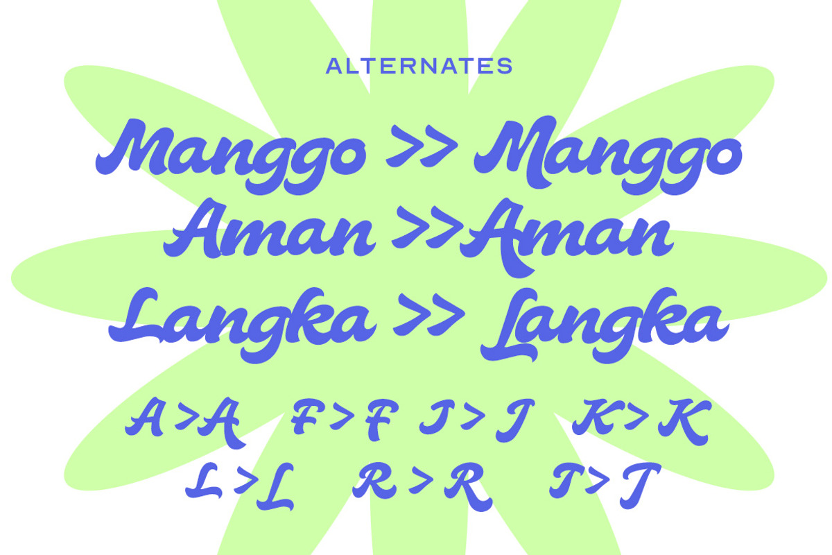 Jungle Funk – Bold Display Script, a Script Font by decographstud (Photo 6 of 9)