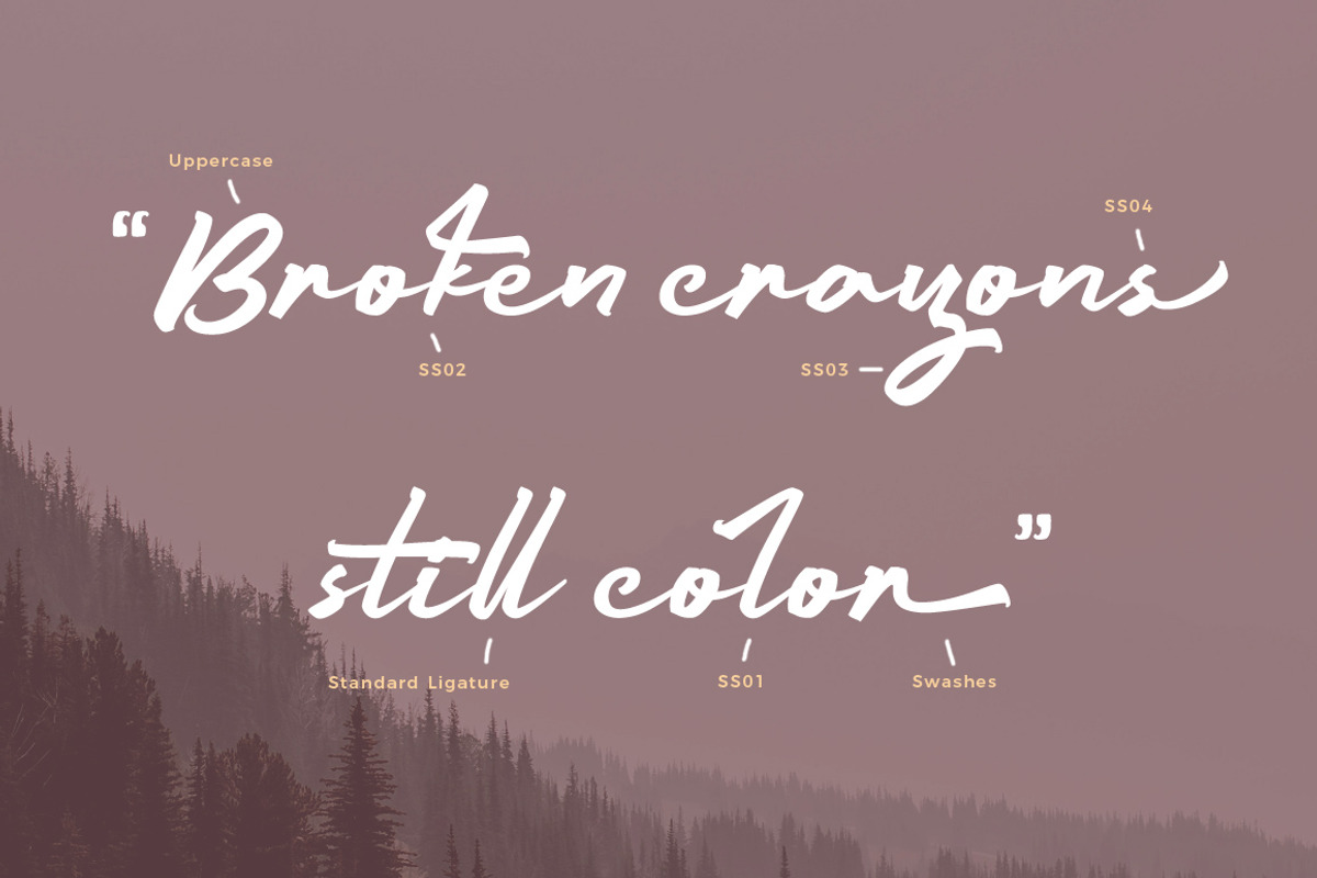 Mount Light - Script Font, a Script Font by FHFont (Photo 2 of 9)