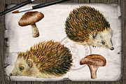 Hedgehog Watercolor Illustration, a Decorative Illustration by DioFlow (Thumbnail 2 of 6)