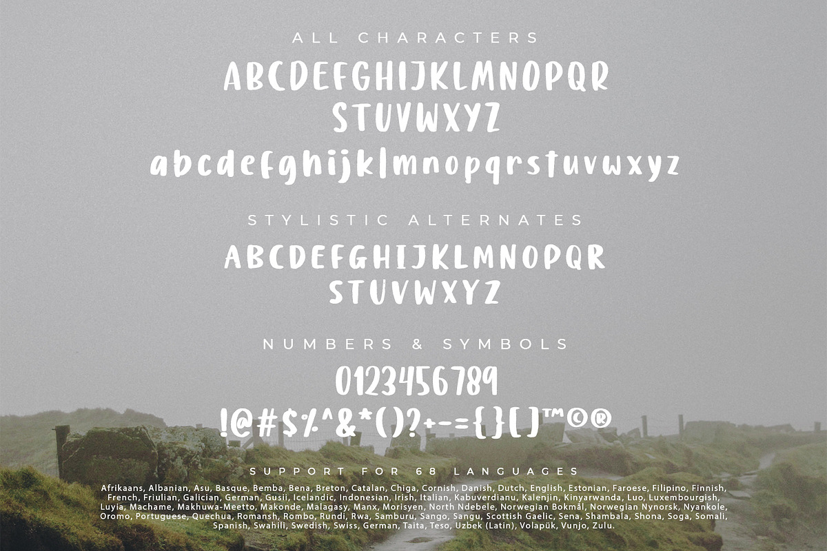 Billion Sunsets, a Script Font by Ditatype (Photo 9 of 10)