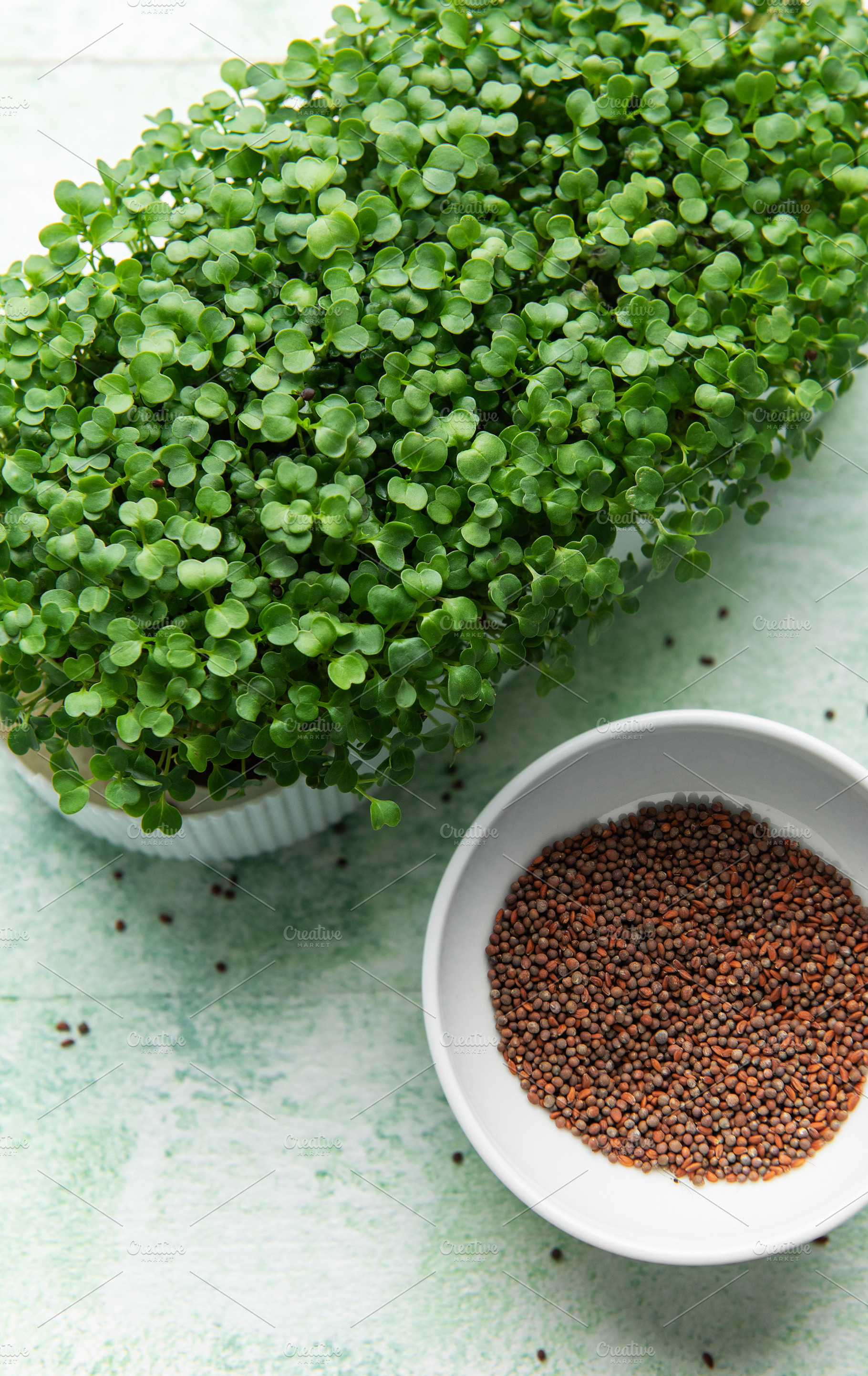 Fresh green microgreens growing next to a bowl of seeds, a Food & Drink Photo by Olena Rudo