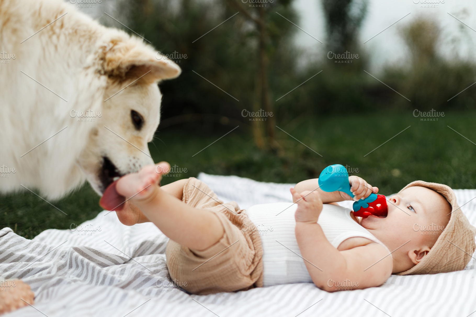 Cute dog licking beautiful happy baby on blanket with toys on ba, a Person Photo by Sonjachni