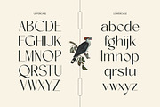 Amira Monte Elegant Display Font, a Sans Serif Font by timelesstype.co (Thumbnail 7 of 20)