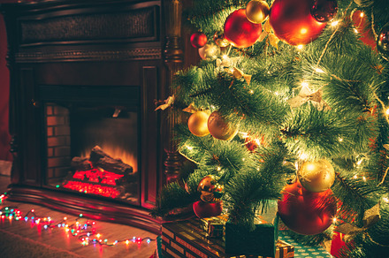 Christmas living room featuring room, tree, and defocused
