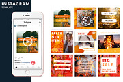 Autumn Instagram Animated Template, a Social Media Template by Brandspark Mini (Thumbnail 1 of 2)
