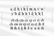 Silvena – Modern Elegant Serif Font, a Serif Font by BrandSemut (Thumbnail 7 of 10)