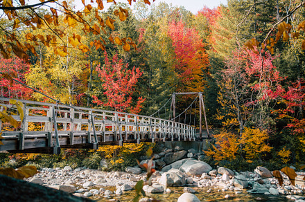 Footbridge to Foliage