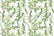 Branches, an Illustration by Watercolor life (Thumbnail 7 of 10)
