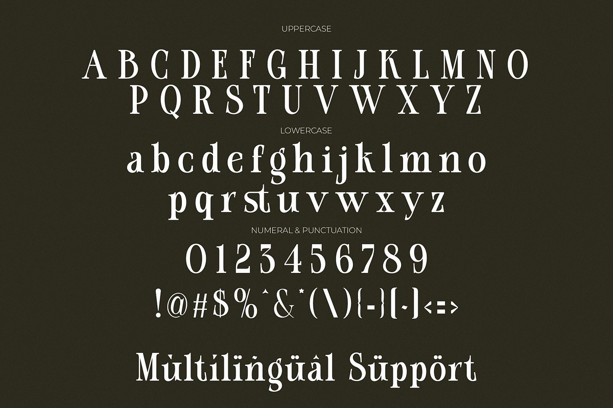 GISSON Unique Ligature Serif preview 7