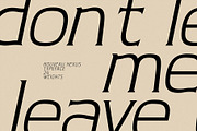 Nouveau Nexus - Vintage Display, a Serif Font by HipFonts (Thumbnail 5 of 11)