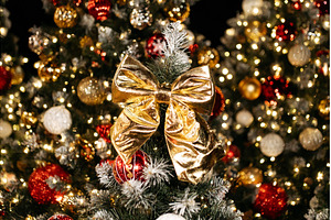 Golden bow decorating artificial, a Holiday Photo by Anna Efetova