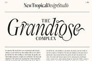 Dark Paradise - Modern Serif Font, a Serif Font by Tropical Type (Thumbnail 3 of 11)