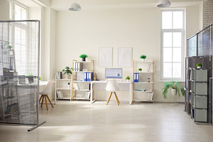 Minimalist Office Desk with Plants