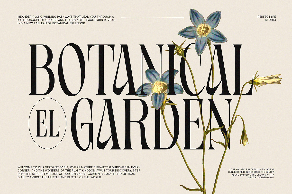 Ragista Elegant Serif Font, a Serif Font by Perfectype (Photo 2 of 6)