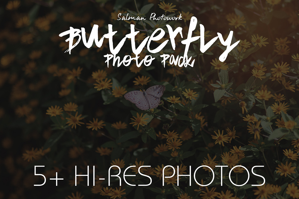 Butterfly Photo Pack, an Object Graphic by Salman Photocreative (Photo 1 of 4)