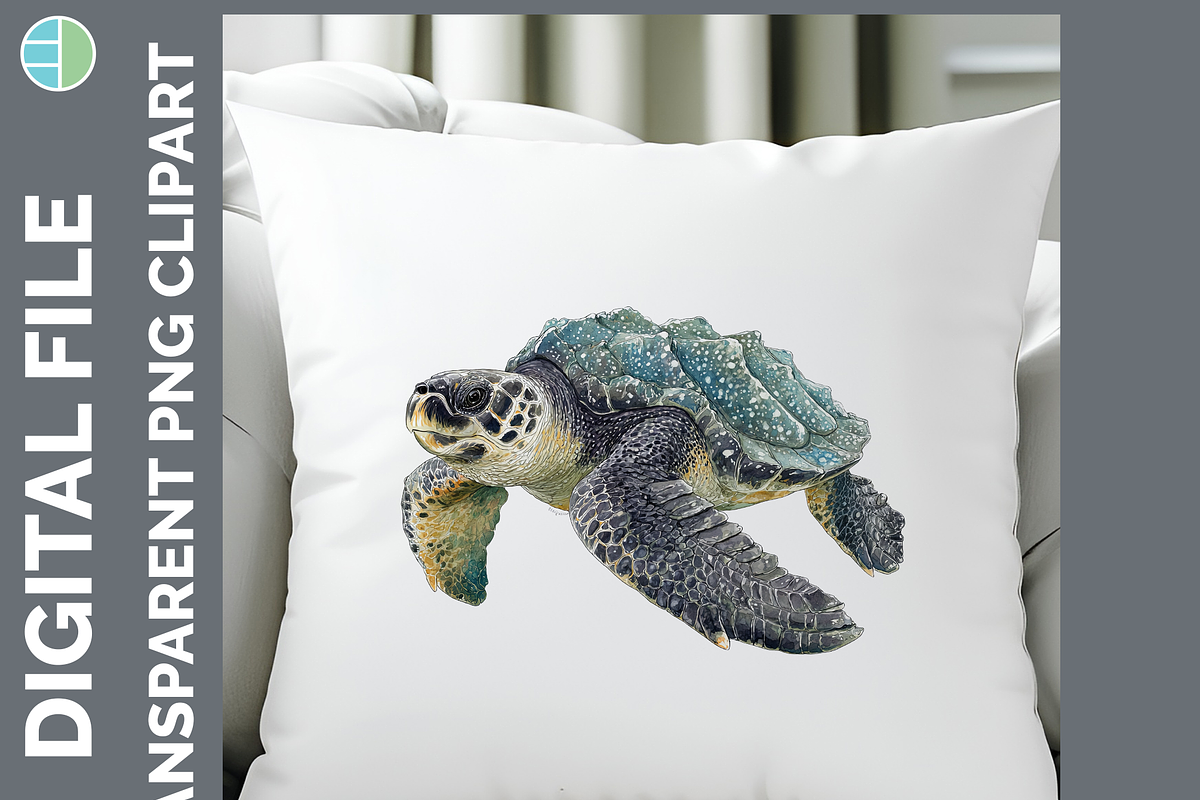Sea Turtle Illustration Bundle PNG, an Animal Illustration by Enliven Designs (Photo 7 of 8)
