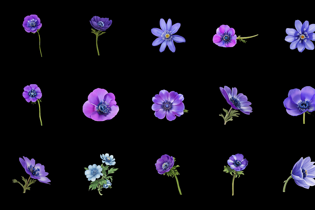 Watercolor Anemones Flower Clipart, a Graphic by Graphicspixel (Photo 3 of 10)