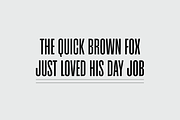 Super Sans Serif Font Bundle, a Sans Serif Font by That That Creative (Thumbnail 10 of 22)