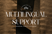 Lawsin Modern Serif Typeface Font, a Serif Font by catalystco.studio (Thumbnail 11 of 11)