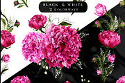 Realistic Peonies ClipArt & Patterns, an Object Graphic by Graphic Art (Thumbnail 6 of 10)