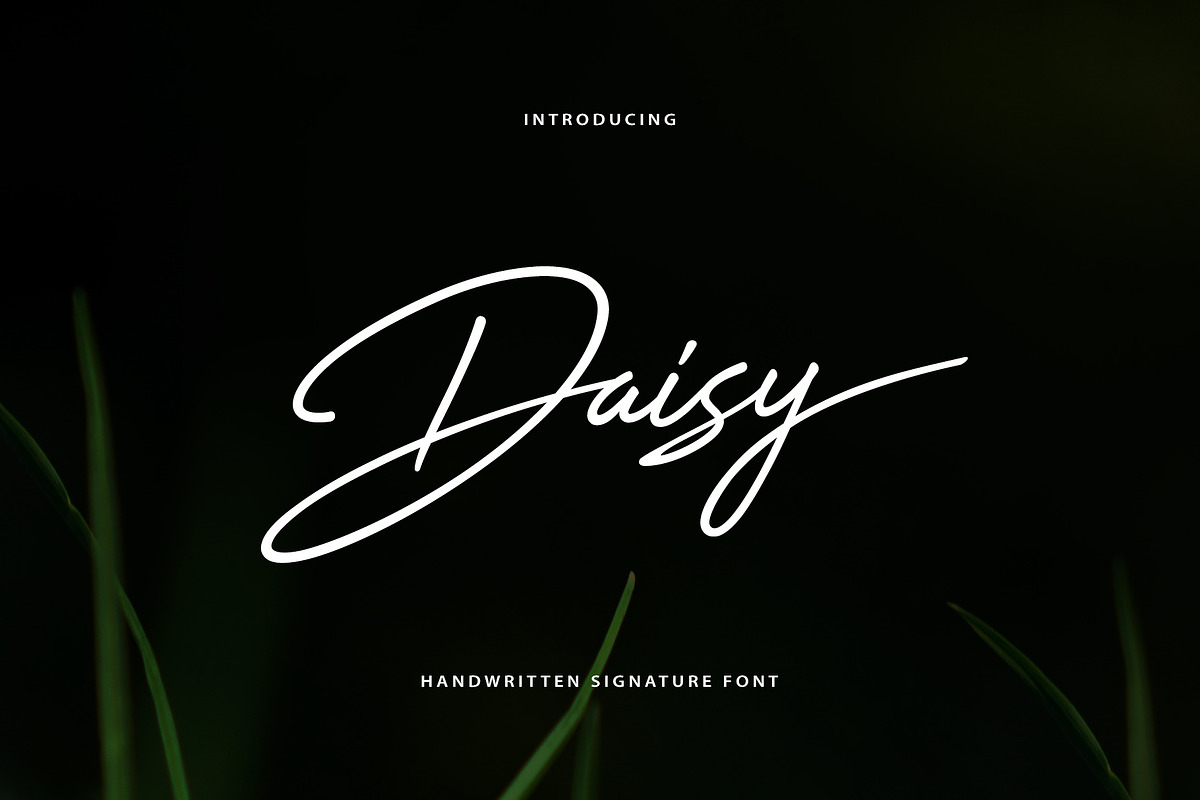 Daisy Handwritten Font, a Handwritten Font by sunnytudu (Photo 1 of 7)