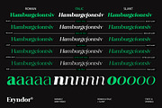 Eryndor, a Serif Font by Typehill (Thumbnail 5 of 13)